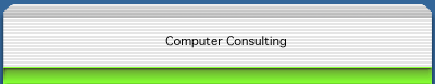 Computer Consulting